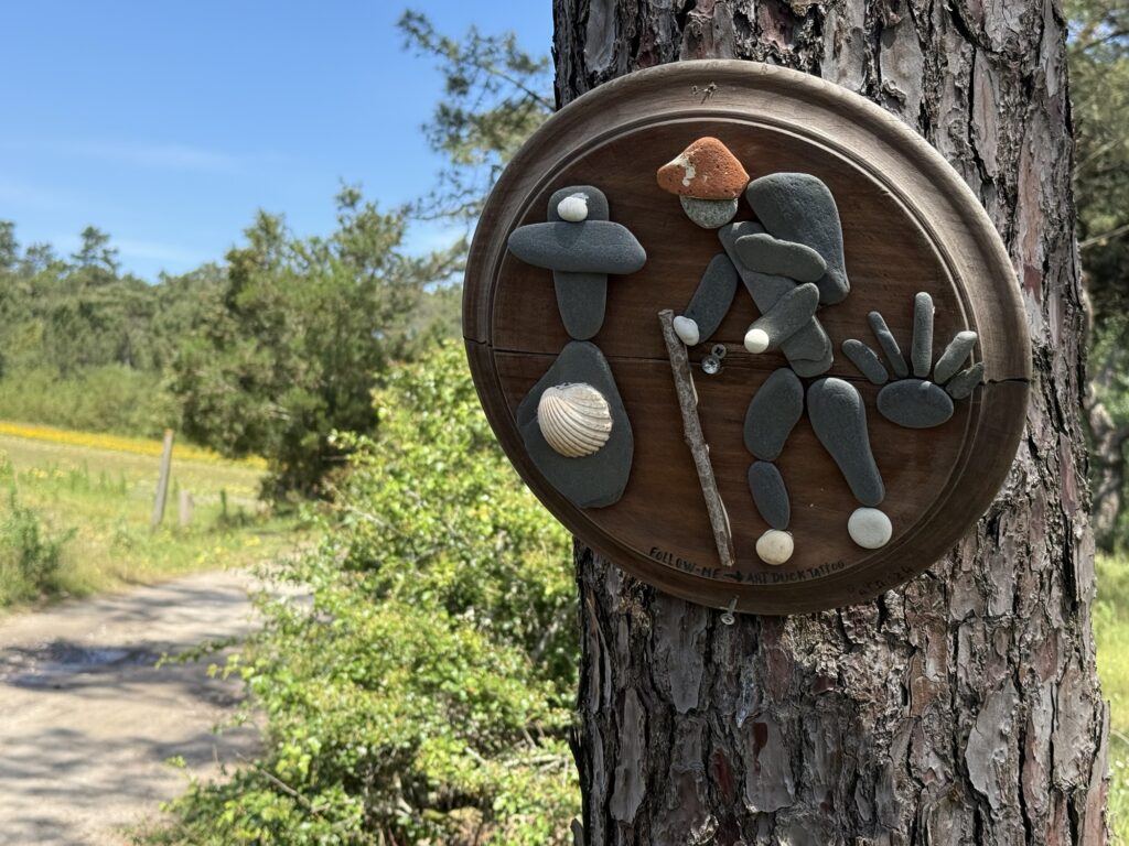 Day 2: Calla Lilies, Cobblestones, and the Camino Charm