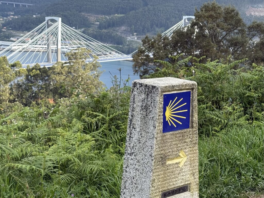 Day 8: Back at it, Epic Hike Today