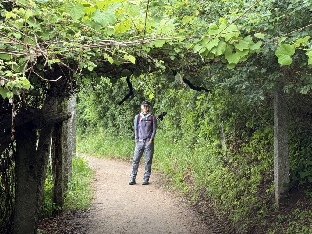 Day 10: From Vineyards to Hot Springs: A Walk to Caldas de Reis